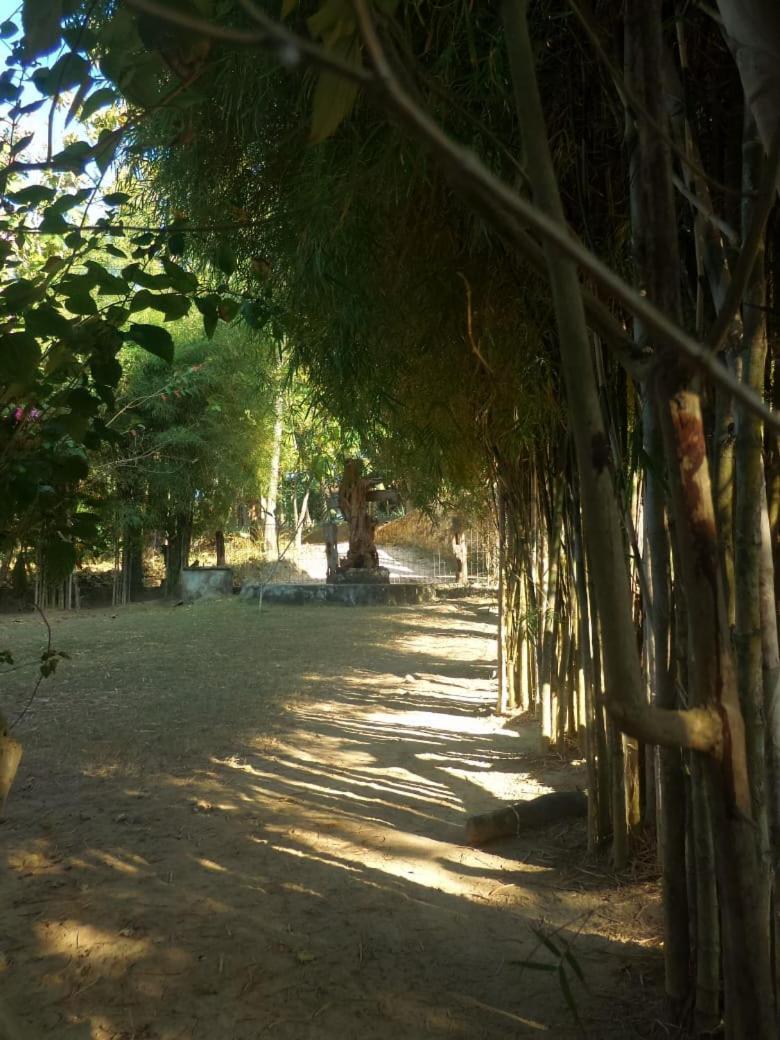 Ary'S Lagoon Bungalow & Hotel Karimunjawa Buitenkant foto