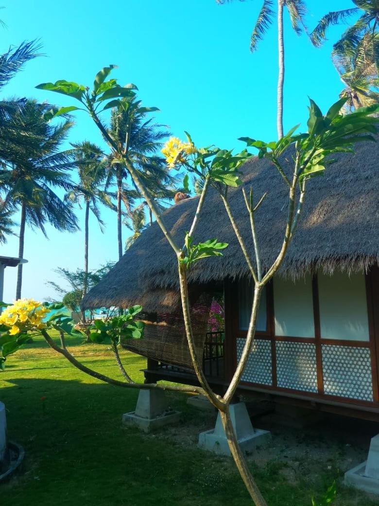 Ary'S Lagoon Bungalow & Hotel Karimunjawa Buitenkant foto